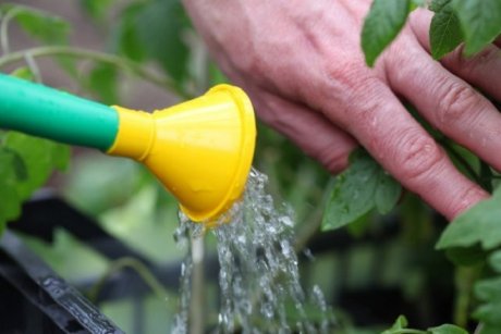 Можно ли поливать огород водой из водопровода